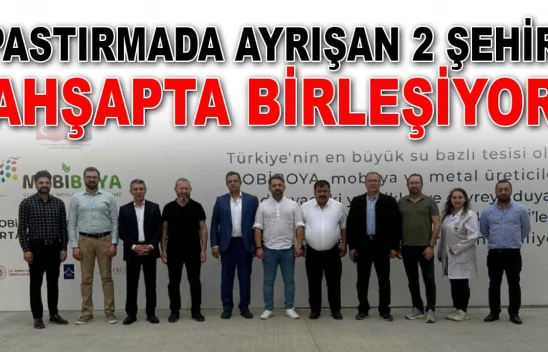 Pastırmada Ayrışan 2 Şehir Ahşapta Birleşiyor