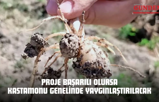 Proje Başarılı Olursa Kastamonu Genelinde Yaygınlaştırılacak
