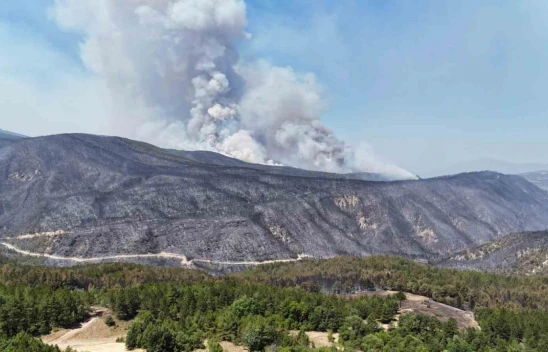 Rüzgar, Karabük'teki Orman Yangınlarını Yeniden Alevlendirdi