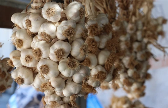 Sarımsağın Mistik Gücünün Olduğunu Biliyor Muydunuz ?