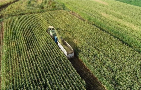 Seferberlik Başlıyor