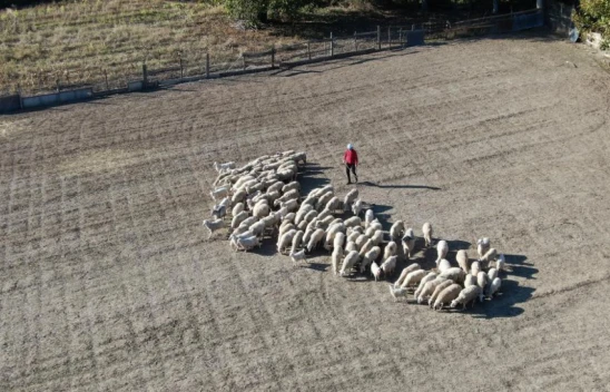 Şehir Hayatını Bırakıp Köye Yerleşti