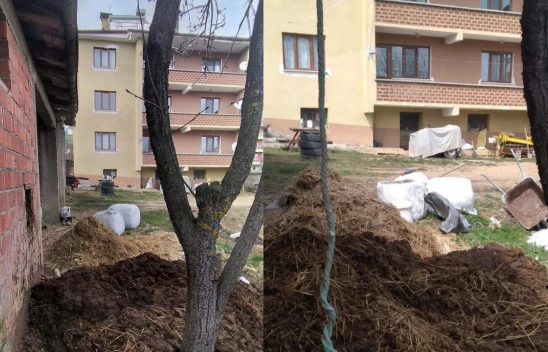 Şehir Merkezine Kemre Atıldı