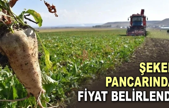 Şeker Pancarında Fiyat Belirlendi