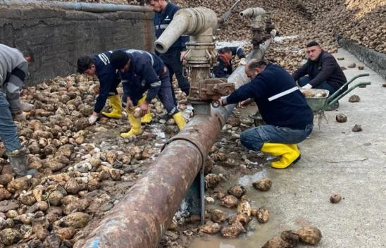 Şekere Taş Karıştı!