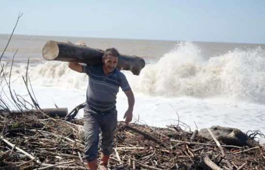 Selin getirdikleri kışın yakacakları olacak