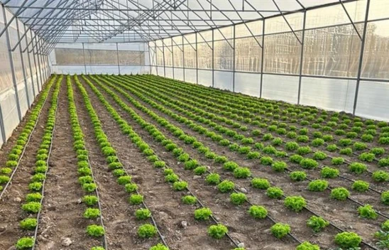 Sera Kurulumları Tamamlandı