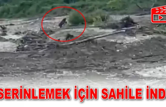 Serinlemek İçin Sahile İndi