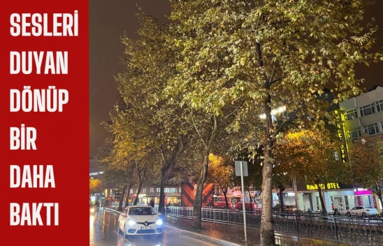 Sesleri duyan dönüp bir daha baktı