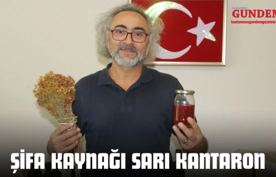 Şifa Kaynağı Sarı Kantaron