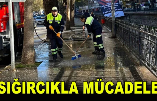 Sığırcıkla Mücadele