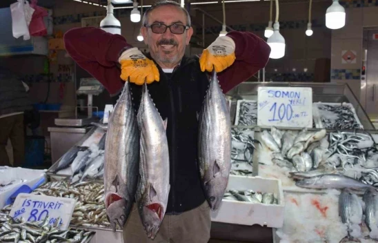 3 ve 5 Kilogram Arası Torikler 500 TL