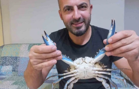 Mavi Yengeç Ağa Takıldı