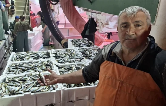 Sinop'ta Balık Bolluğu