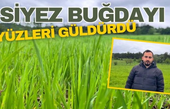 Siyez Buğdayı Yüzleri Güldürdü