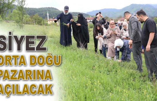 Siyez Orta Doğu Pazarına Açılacak