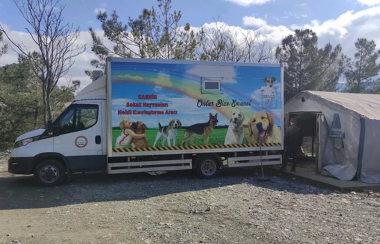 Sokak Hayvanlarının Rehabilitasyonu Sürüyor 