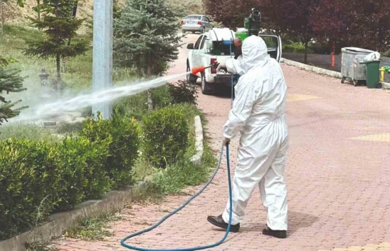 Sungurlu'da Vektörel Mücadele Çalışmaları Hızlandı