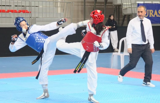 Taekwondo İl Birinciliğinde 186 Sporcu Mücadele Etti