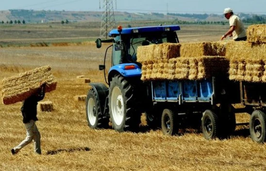 Tarım-GFE yüzde 0,63 arttı