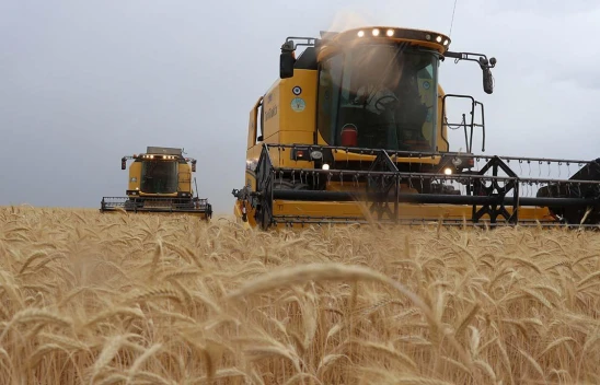 Tarım-GFE Yüzde 1,16 Arttı