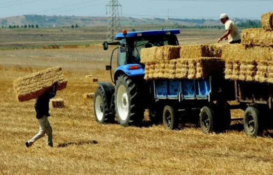 Tarım-GFE yüzde 6,94 arttı