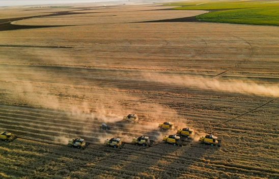 Tarım-ÜFE Yüzde 0,45 Azaldı