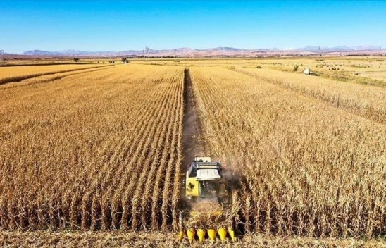 Tarım-ÜFE Yüzde 3,45 Azaldı