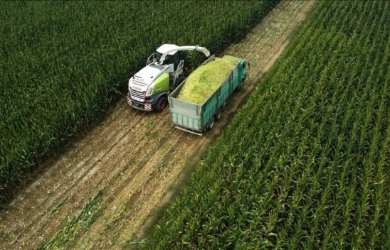 Tarım-Üfe Yüzde 7,18 Arttı