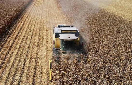 Tarım Ürünleri Üretici Fiyat Endeksi Azaldı