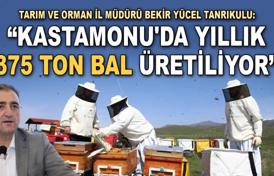 Tarım Ve Orman İl Müdürü Tanrıkulu: 'Kastamonu'da Yıllık 375 Ton Bal Üretiliyor'
