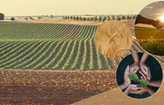 Tarımsal Amaçlı Örgütlerde Derecelendirme Dönemi Başlıyor