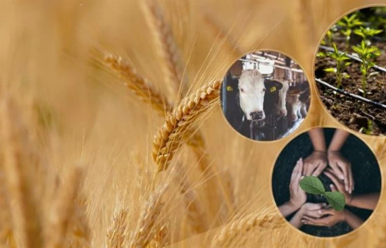 Tarımsal Destek Ödemeleri Aktarıldı