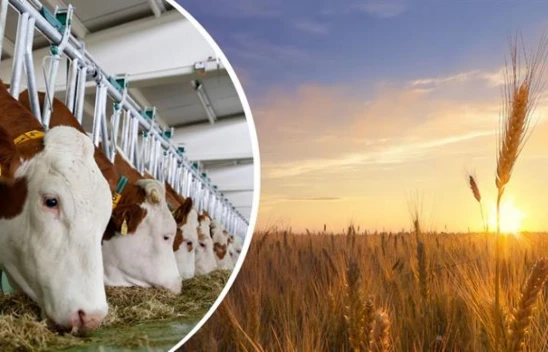 Tarımsal Destek Ödemeleri Aktarıldı