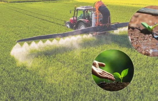 Tarımsal Destek Ödemeleri Hesaplara Aktarıldı