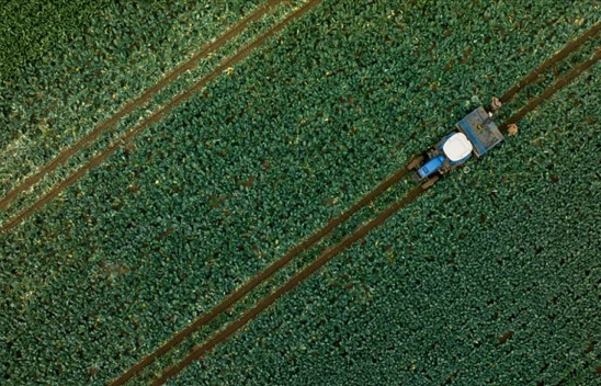 Tarımsal Destekleme Ödemesi Bugün Yapılacak