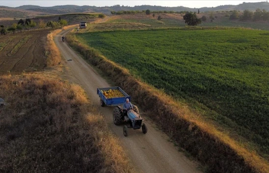 Tarımsal Destekleme Ödemleri Yapıldı