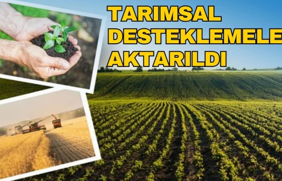 Tarımsal Desteklemeler Aktarıldı