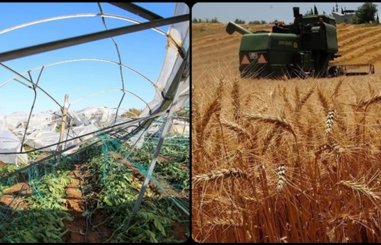 TARSİM'den Üreticilere 27 Milyar Lira Hasar Ödemesi