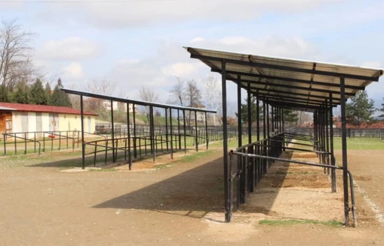 Taşköprü'de şap görüldü, hayvan pazarı kapandı