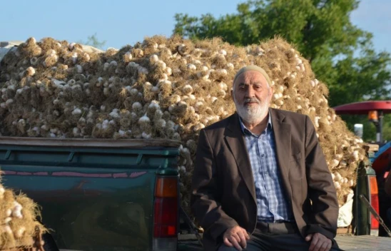 Taşköprü Sarımsağı pazara indi