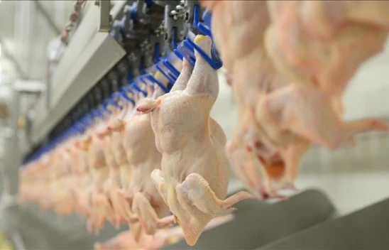 Tavuk Eti Üretimi 192 Bin 386 Ton Oldu