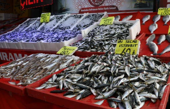 Tezgâhların Gözdesi Hamsi Oldu