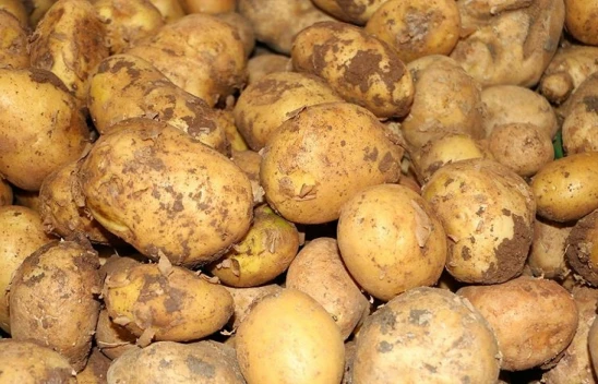 Ticaret Bakanlığından Patates Fiyatlarına İlişkin Açıklama