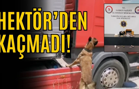TIR'a Saklanan Uyuşturucu Hektör'den Kaçmadı!