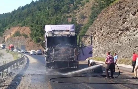 TIR alevlere teslim oldu