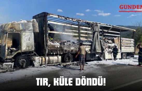 Tır, Küle Döndü!