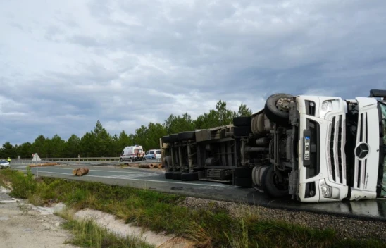 Tomruk Yüklü Tır Devrildi: 1 Yaralı