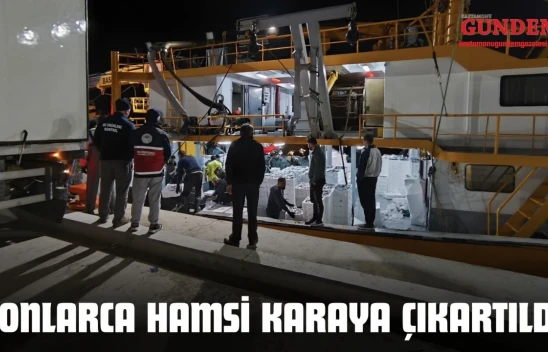 Tonlarca Hamsi Karaya Çıkartıldı
