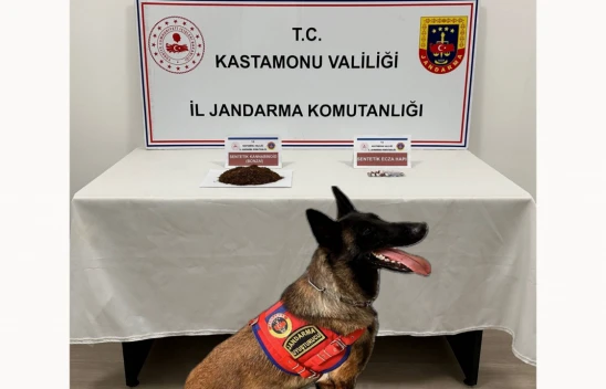 Tosya'da Uyuşturucu Ele Geçirildi